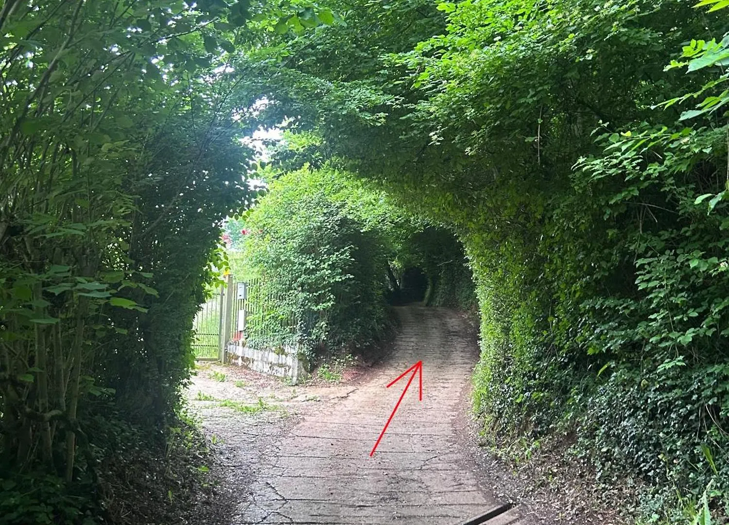 Parco Vasela 호텔 사비오 치에세 게스트하우스